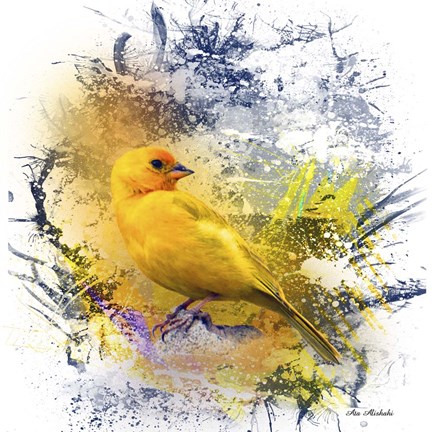 Framed Bird Collection 12 Print