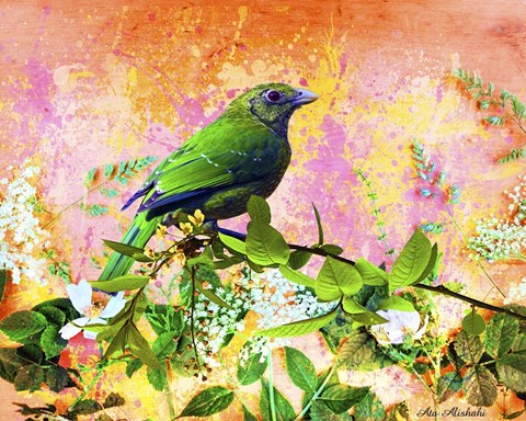 Framed Bird Collection 17 Print