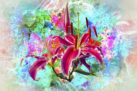 Framed Flower Design M8A Print