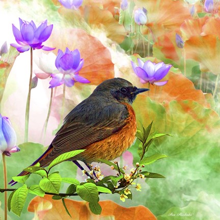 Framed Bird Collection 30 Print