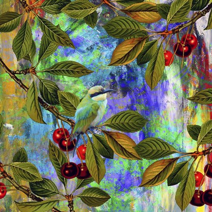 Framed Bird Collection 31 Print