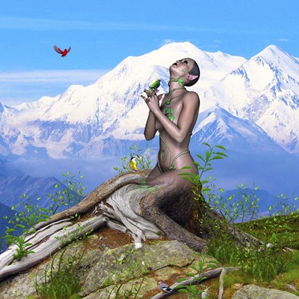 Framed Bird Collection 33 Print