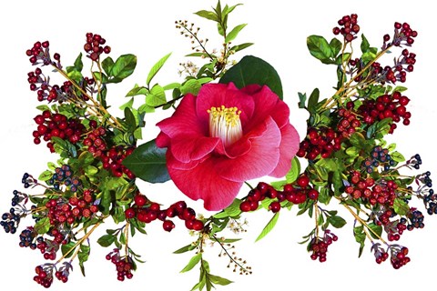 Framed Flower Design K4 Print