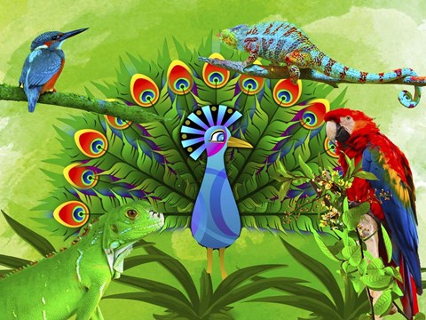 Framed Wild Nature A1 Print