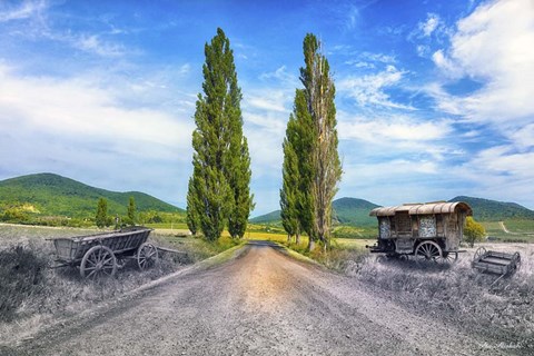 Framed Blackwhite and Color Print