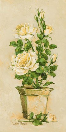 Framed Shades of Rose II Print