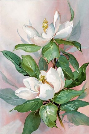 Framed Classic Magnolia A Print