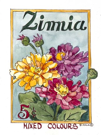 Framed Mixed Colors Zinnia-Seed Packet Print
