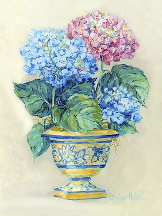 Framed Hydranga Blooms II Print