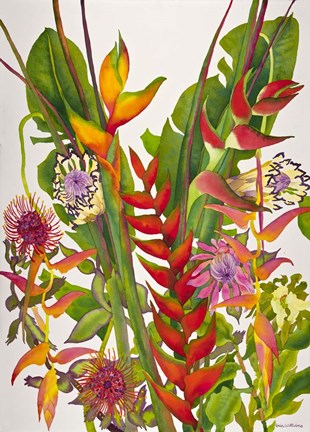 Framed Radiant Supreme Print