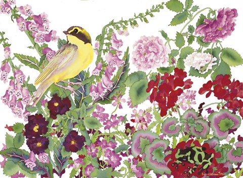 Framed Warbler With Frog Print