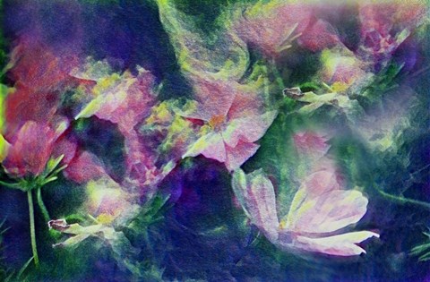 Framed Vintage Print