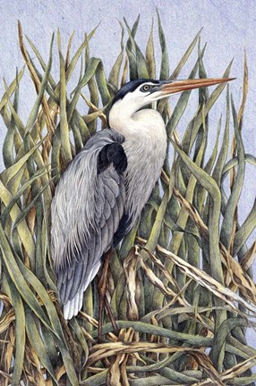 Framed Always Alert Print