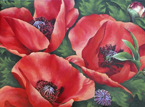 Framed Bright Red Trio Print