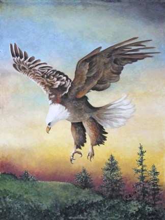 Framed Dawn Flight Print