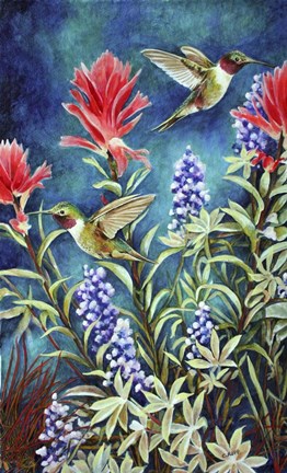 Framed Hummingbirds in Mountain Foliage Print