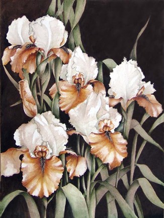 Framed Mother&#39;s Garden Print