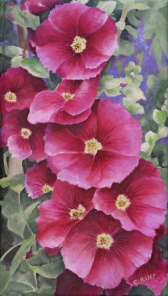 Framed Oh So Pink Print