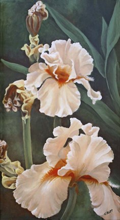 Framed Peach Beauty Print