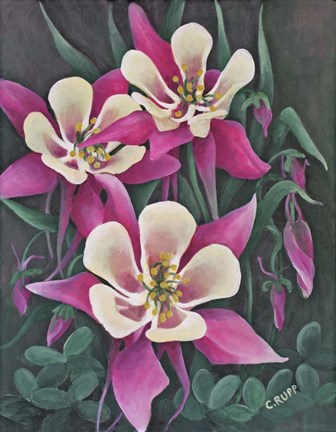 Framed Pretty in Pink Print