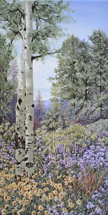 Framed Aspen with Asters Print