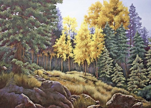 Framed Bursting with Color Print