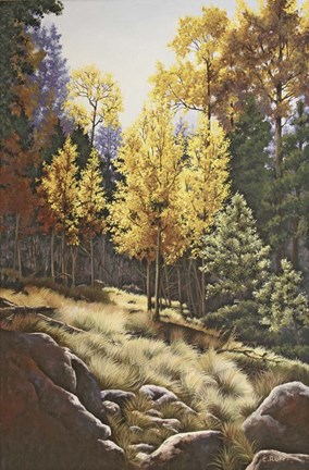 Framed Forest Gold Print