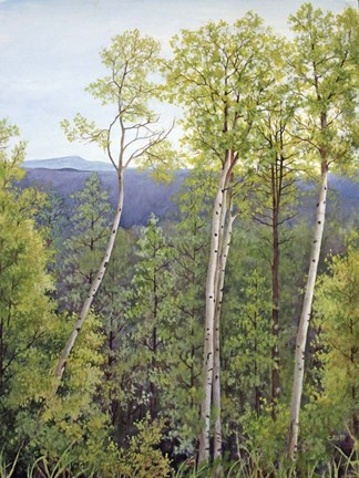 Framed Forest Road Aspen Print