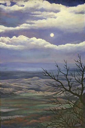 Framed Moonscape Print