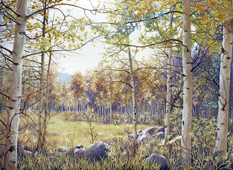 Framed Valley of the Utes Autumn Print