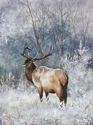 Framed Frosty Morining Print