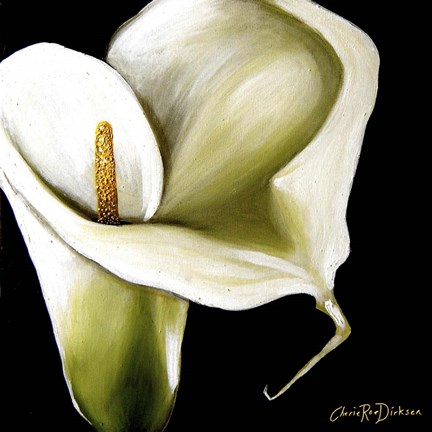 Framed Arum Lily Ii Print