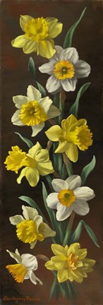 Framed Summer Splendor Print