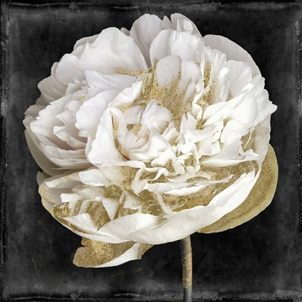 Framed Gilda I Print