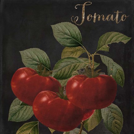 Framed Medley Tomato Print