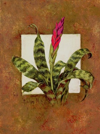 Framed Tropical Squares 1 Print