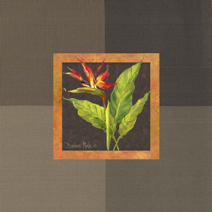 Framed Tropical Treasures II Print