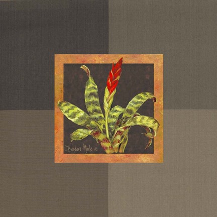 Framed Tropical Treasures III Print