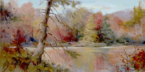 Framed Reflections on the Lake II Print