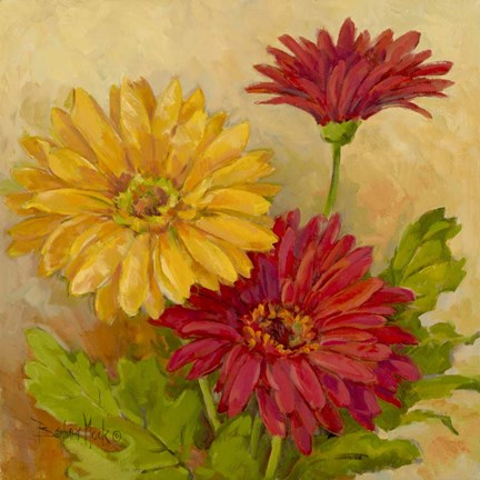 Framed Gerber Daisies II Print