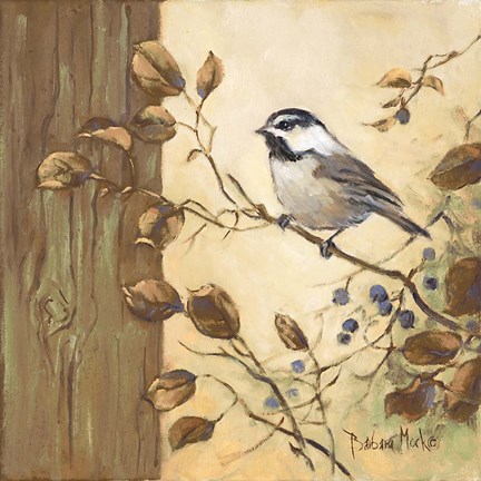 Framed Chickadee Square II Print