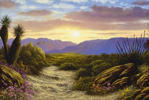 Framed Desert Splendour Print