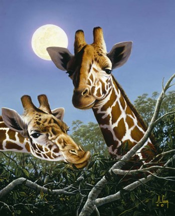 Framed Tree Tops Print