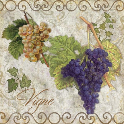 Framed Pastoral Fruits II Print