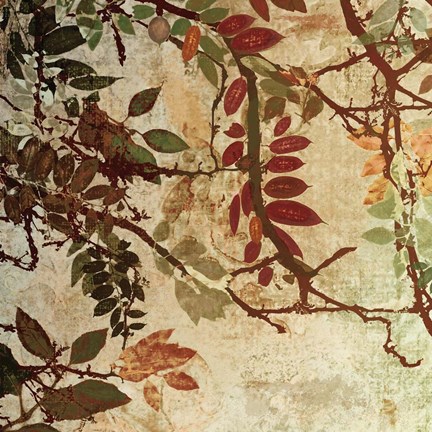 Framed Transition I Print