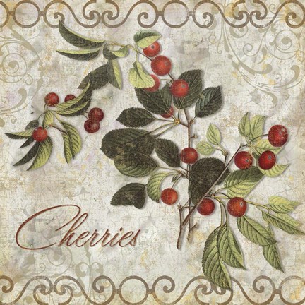 Framed Pastoral Fruits III Print