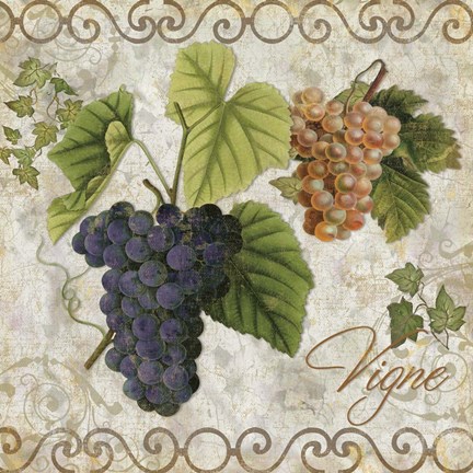 Framed Pastoral Fruits IV Print