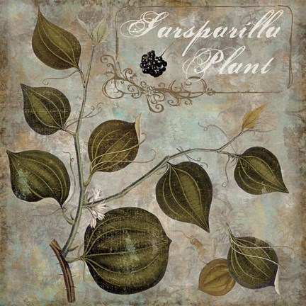 Framed Flavor Blossoms I Print