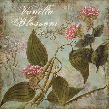 Framed Flavor Blossoms II Print