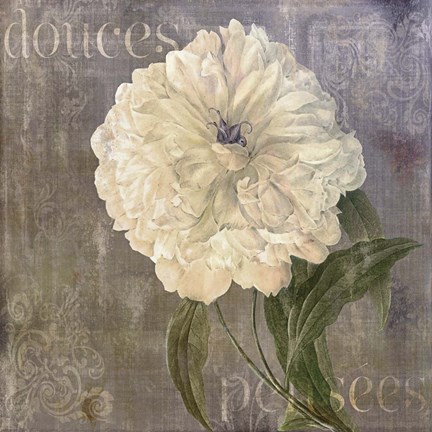Framed Douces Pensees Print
